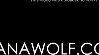 Can't Say No - Meana Wolf