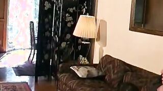 Beauty dark haired women takes a rough double penetration and cum on her breasts and toes