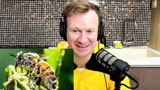 Do you like Bee Porn?