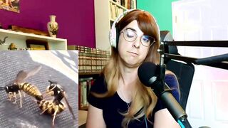 Do you like Bee Porn?