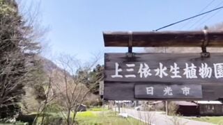 River and Hottie spring [Nachi trip]