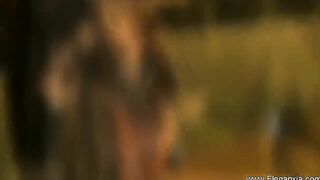 Sexsual Cleansing Of The punjab Soul