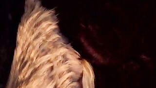 Throne Games Mother Of Dragons - S1:E7