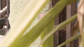 A gorgeous sex movie with a slutty chick with Dark Haired
