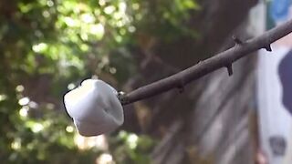 A sex tape full of lust with a Hottie and perverted big boobed woman
