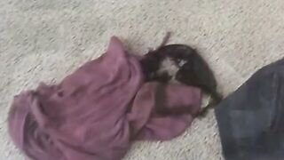 Naughty lust for a freaky young sluts into a fantastic tape with