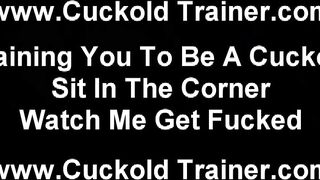 Cheating Hoe Wives And Cuckold Fem Dom Videos