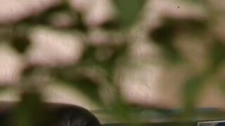 A stunning sex sex tape with a slutty chick with Dark Hair
