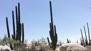 I Fucking Love Mexico! Fellatio & Cum Drink Surprise Outside.