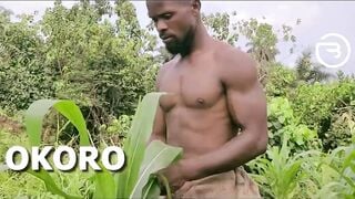 Amaka the village thot visited Okoro into the farm for quick blow job