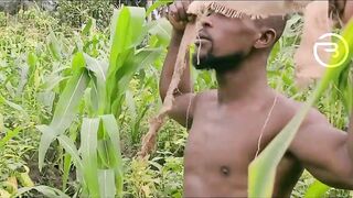 Amaka the village thot visited Okoro into the farm for quick blow job