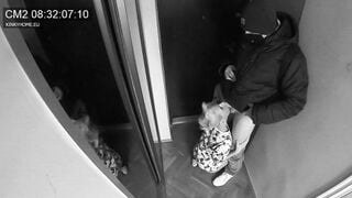Concealed camera - wifey blown the postman while hubby inside the next door. Euro traditions.