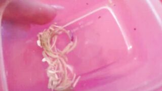 Clean up my filthy toes, toe nail clippings and feet dust!