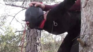 Bound up to a tree outside on Beauty clothes, wearing stockings and high ankle boots heels, hard boned