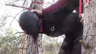 Bound up to a tree outside on Beauty clothes, wearing stockings and high ankle boots heels, hard boned