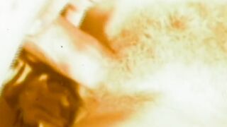 HIPPIES INSIDE HEAT - 01