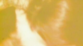 HIPPIES INSIDE HEAT - 02