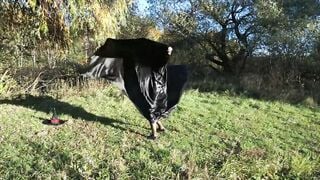 Dance of Leylakh ver. two