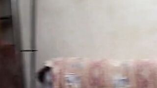 Elena and Syria know how to have incredible orgies to enjoy