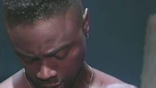Seal Michael Nasty Tales