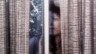 Vintage Voyeur Sex With Older Beauty