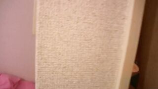 Uncensored Japanese Amateur With Curvy Compact Body and Bald Vagina Has Raw Sex into Her Actual Apartment