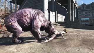Fallout four Creatures