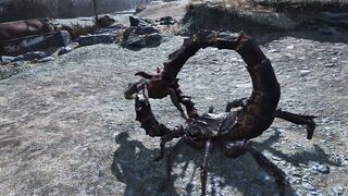 Fallout four Creatures