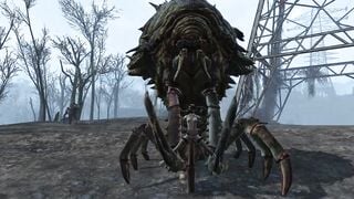 Fallout four Creatures