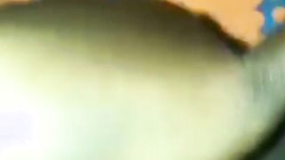 Ebony Naught women finger fuck herself until she ejaculates.