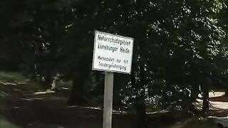 farmer sluts makes picnic into the forest