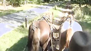 farmer sluts makes picnic into the forest