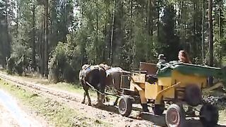 farmer sluts makes picnic into the forest