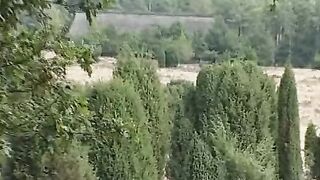 farmer sluts makes picnic into the forest
