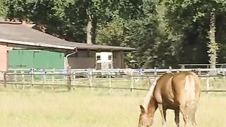 farmer sluts makes picnic into the forest