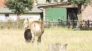 farmer sluts makes picnic into the forest