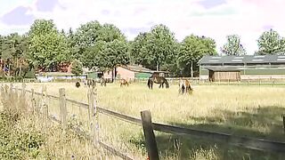 farmer sluts makes picnic into the forest