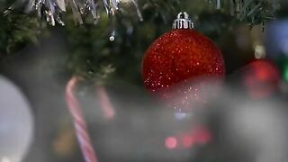 Pussy The Night Before Christmas - S23:E1