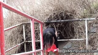 Sexual girls found a super spot to peeing next to their neighbours place