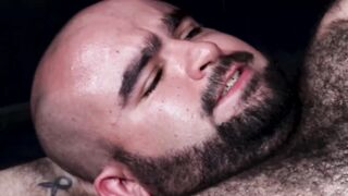 Bearder daddy raw impales his fat lover and makes him cum