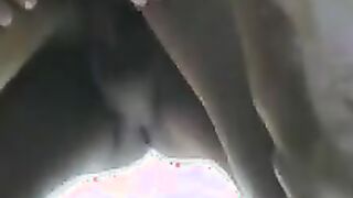 pregnant brazilian