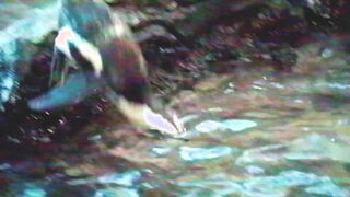 Deeper. Little Dragon has twisted 3-way with 2 strangers