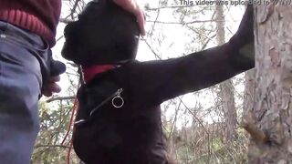 Public sex into the wood. Wearing Bombshell clothes and high heels, tied, throated and banged
