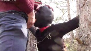 Public sex into the wood. Wearing Bombshell clothes and high heels, tied, throated and banged