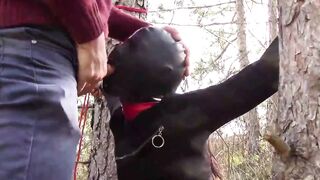 Public sex into the wood. Wearing Bombshell clothes and high heels, tied, throated and banged