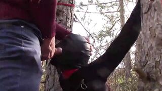 Public sex into the wood. Wearing Bombshell clothes and high heels, tied, throated and banged