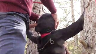Public sex into the wood. Wearing Bombshell clothes and high heels, tied, throated and banged