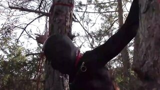 Public sex into the wood. Wearing Bombshell clothes and high heels, tied, throated and banged