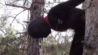 Public sex into the wood. Wearing Bombshell clothes and high heels, tied, throated and banged