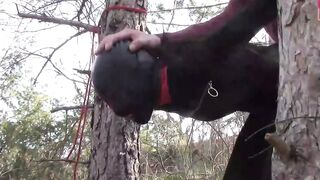 Public sex into the wood. Wearing Bombshell clothes and high heels, tied, throated and banged